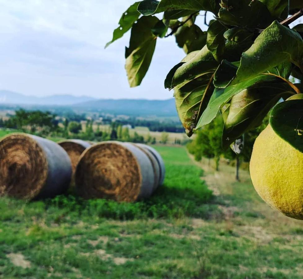 La Fonte Di Montebuono Βίλα Magione Εξωτερικό φωτογραφία